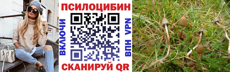 Галлюциногенные грибы MAGIC MUSHROOMS Купить где Вихоревка